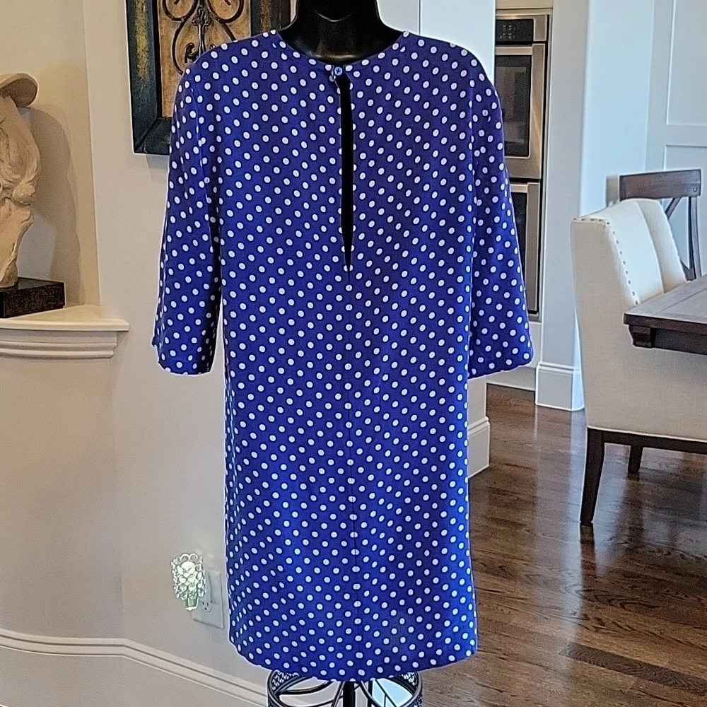 Equipment Silk Polka-dot Dress